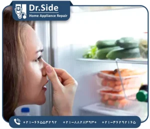 علت کپک زدن یخچال